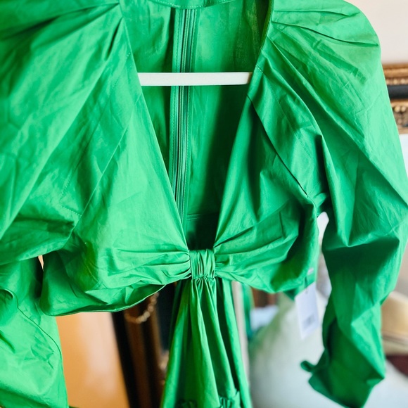 🔥🔥SOLD !!!!! Jason Wu beautiful apple green dress 💥🌺 - Picture 5 of 9